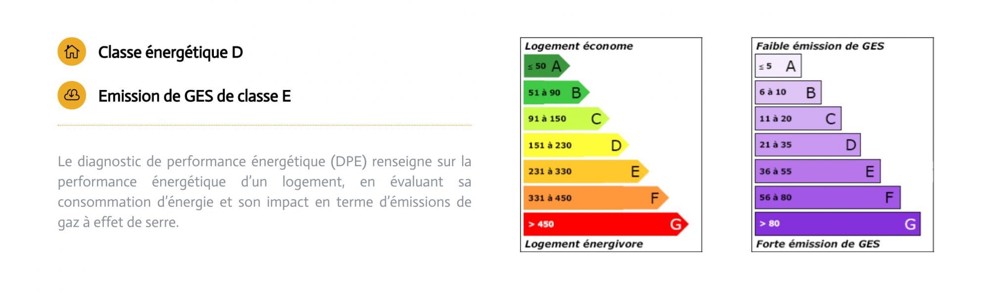 Affichage du DPE sur un site internet d'agence immobilière