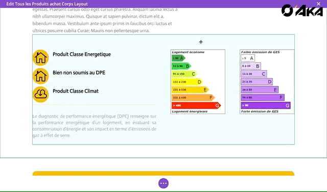 divi builder, avancé et onglet visibilité 