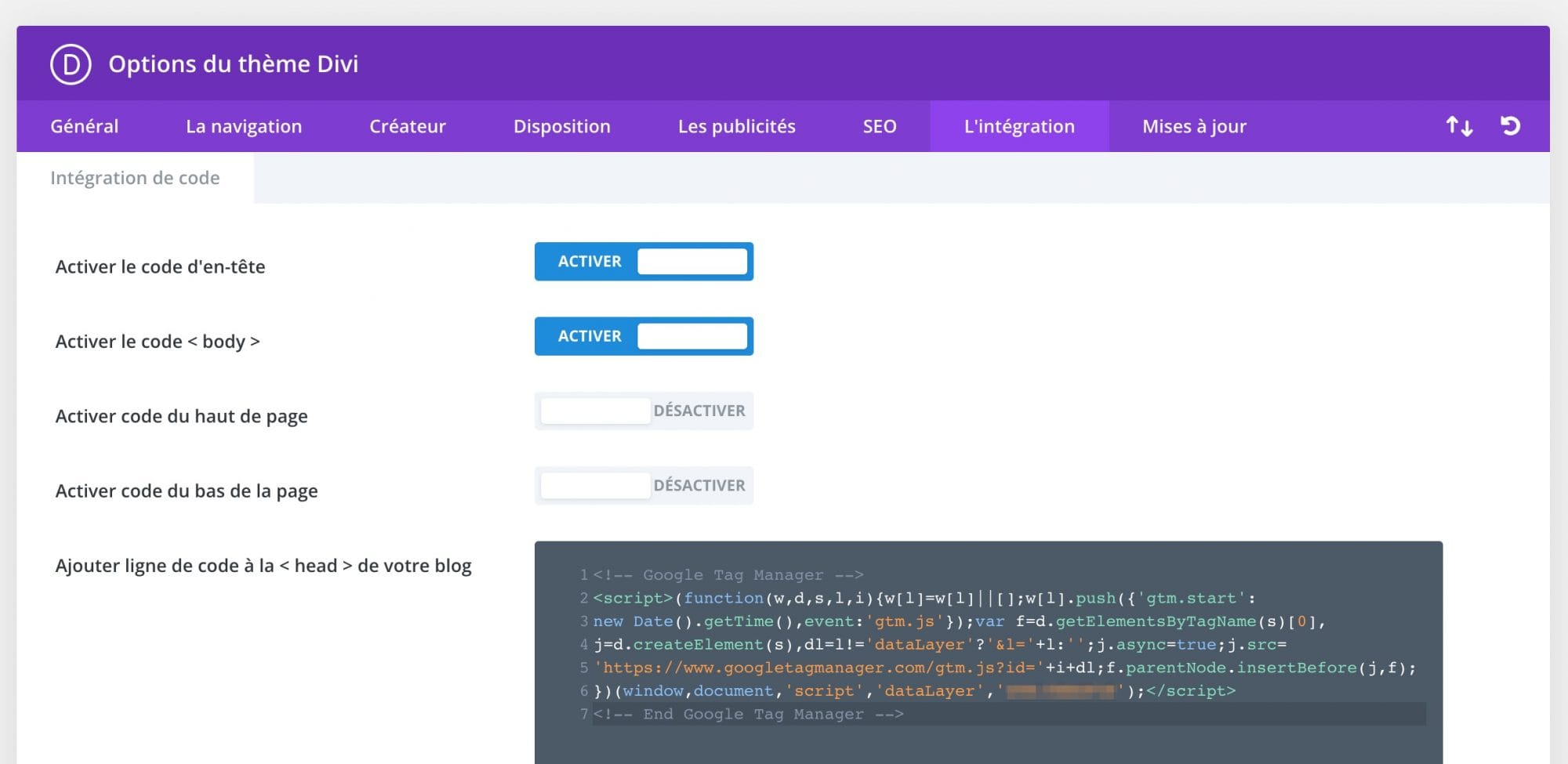 Page de configuration des codes d'intégration dans Divi