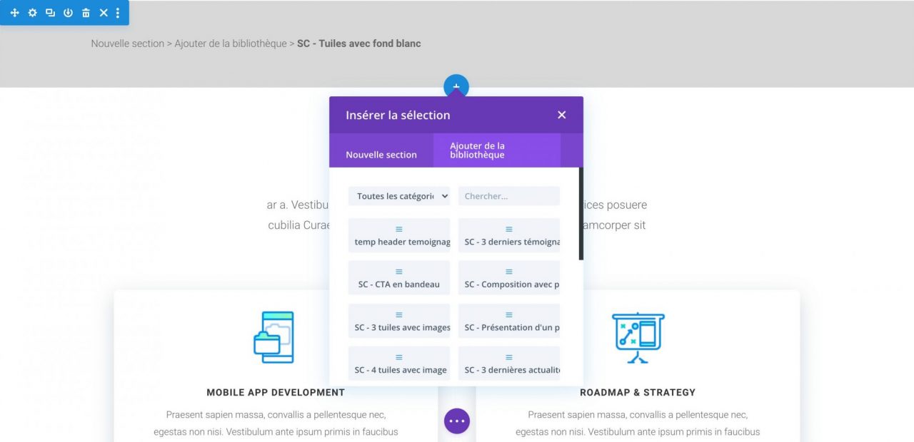 Ajout d'une section Divi en provenance de la bibliothèque sur le site internet SCAN Center