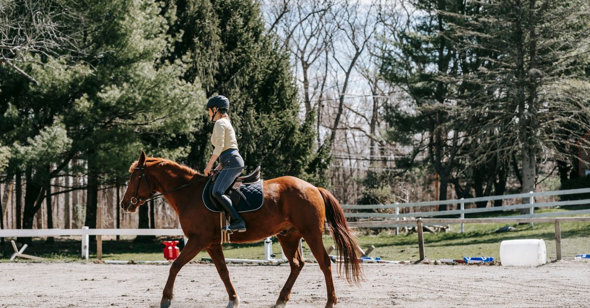 Gérer les carnets de cours d’équitation sans les pointer à la main